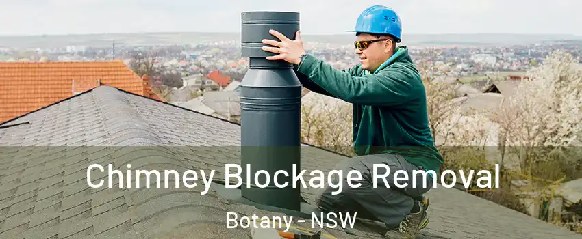 Chimney Blockage Removal Botany - NSW