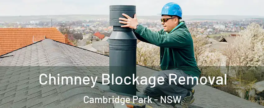  Chimney Blockage Removal Cambridge Park - NSW
