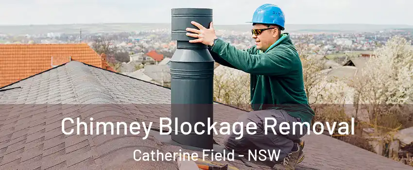 Chimney Blockage Removal Catherine Field - NSW