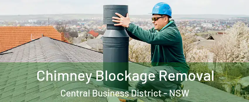 Chimney Blockage Removal Central Business District - NSW
