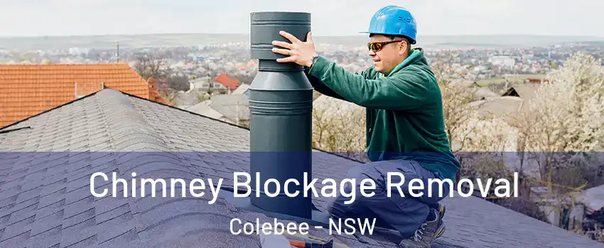 Chimney Blockage Removal Colebee - NSW