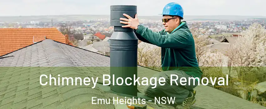 Chimney Blockage Removal Emu Heights - NSW