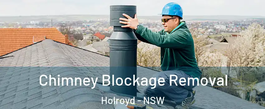 Chimney Blockage Removal Holroyd - NSW