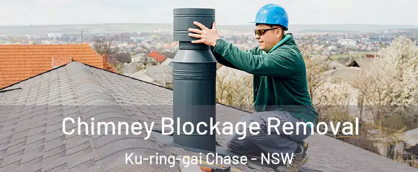 Chimney Blockage Removal Ku-ring-gai Chase - NSW