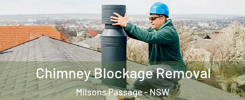 Chimney Blockage Removal Milsons Passage - NSW