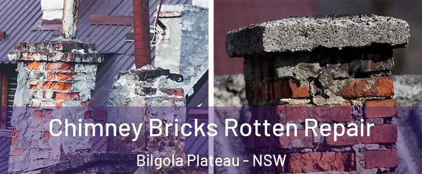 Chimney Bricks Rotten Repair Bilgola Plateau - NSW