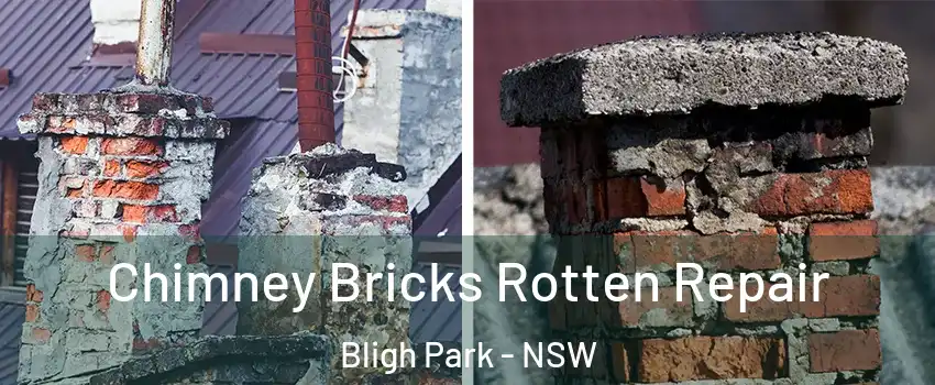 Chimney Bricks Rotten Repair Bligh Park - NSW