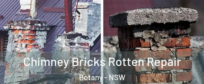 Chimney Bricks Rotten Repair Botany - NSW