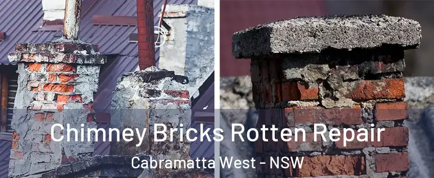 Chimney Bricks Rotten Repair Cabramatta West - NSW