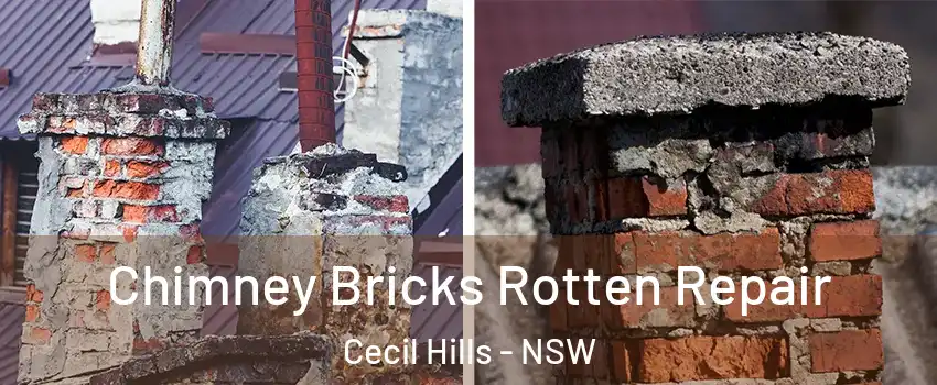  Chimney Bricks Rotten Repair Cecil Hills - NSW