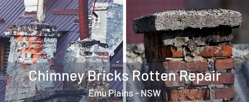 Chimney Bricks Rotten Repair Emu Plains - NSW