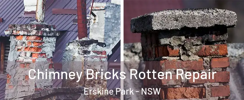 Chimney Bricks Rotten Repair Erskine Park - NSW