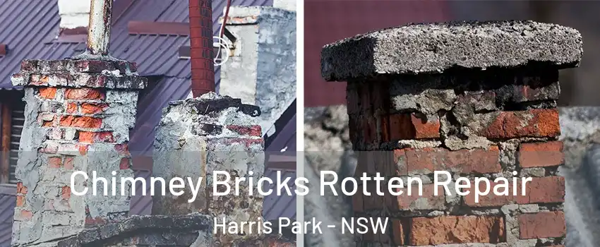 Chimney Bricks Rotten Repair Harris Park - NSW