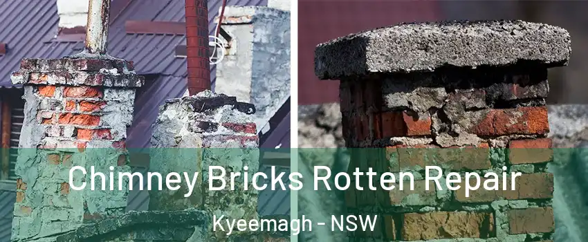 Chimney Bricks Rotten Repair Kyeemagh - NSW
