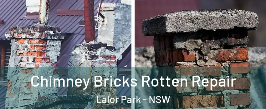 Chimney Bricks Rotten Repair Lalor Park - NSW