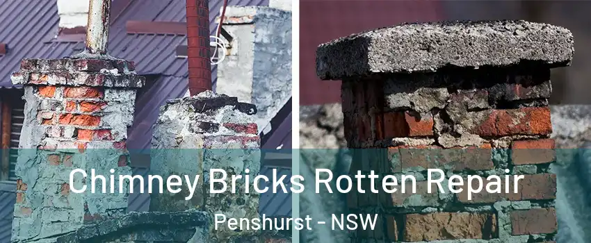 Chimney Bricks Rotten Repair Penshurst - NSW