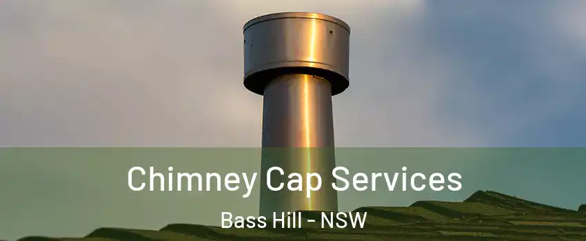 Chimney Cap Services Bass Hill - NSW
