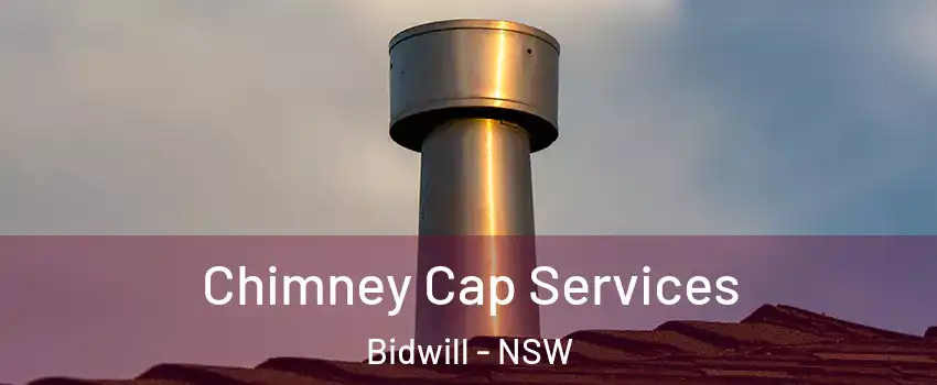 Chimney Cap Services Bidwill - NSW