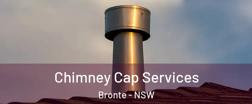 Chimney Cap Services Bronte - NSW