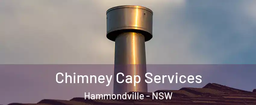 Chimney Cap Services Hammondville - NSW