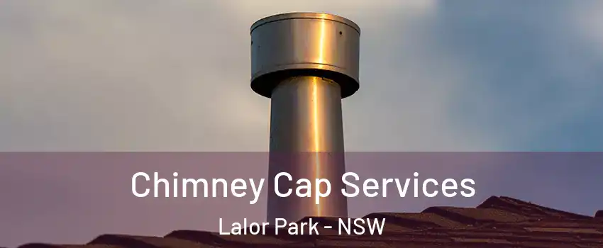 Chimney Cap Services Lalor Park - NSW
