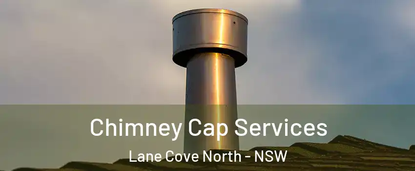 Chimney Cap Services Lane Cove North - NSW