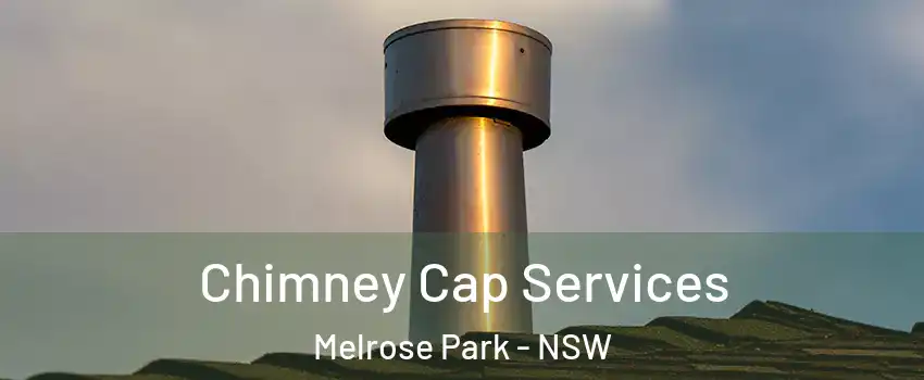 Chimney Cap Services Melrose Park - NSW