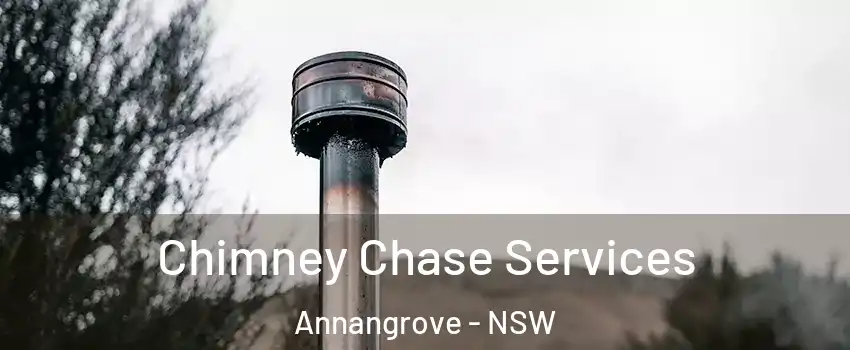 Chimney Chase Services Annangrove - NSW