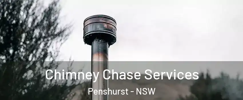 Chimney Chase Services Penshurst - NSW