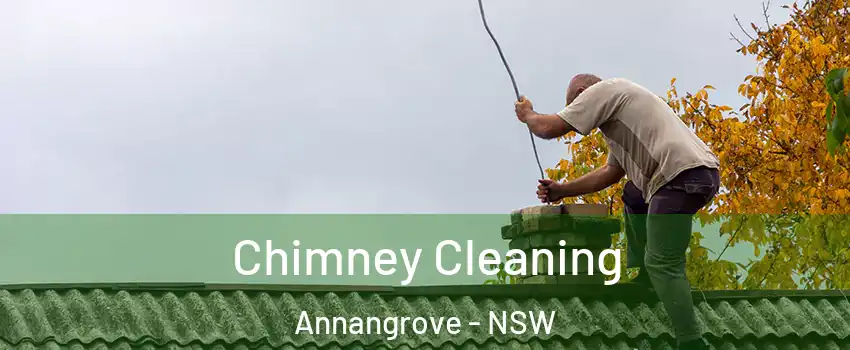 Chimney Cleaning Annangrove - NSW