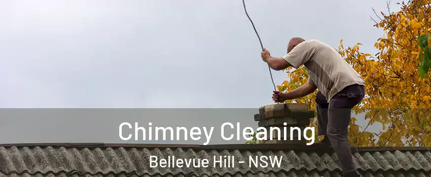 Chimney Cleaning Bellevue Hill - NSW