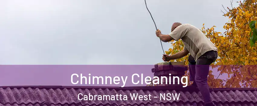 Chimney Cleaning Cabramatta West - NSW