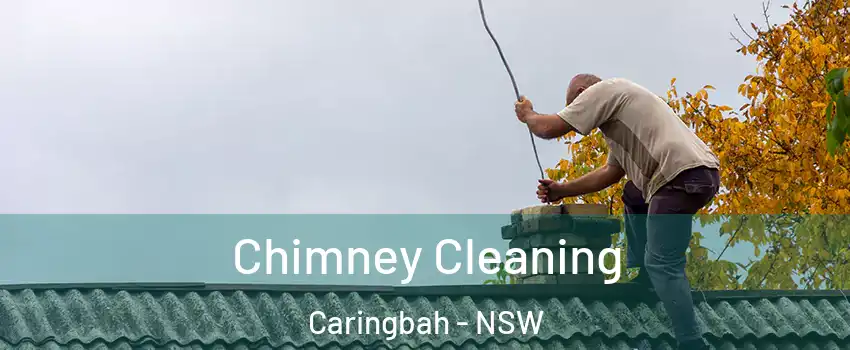 Chimney Cleaning Caringbah - NSW