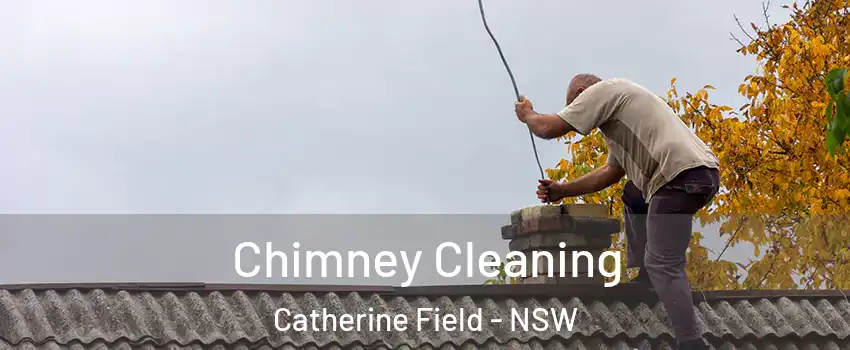 Chimney Cleaning Catherine Field - NSW