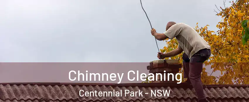 Chimney Cleaning Centennial Park - NSW
