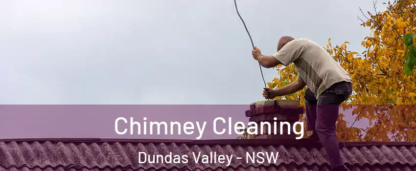 Chimney Cleaning Dundas Valley - NSW