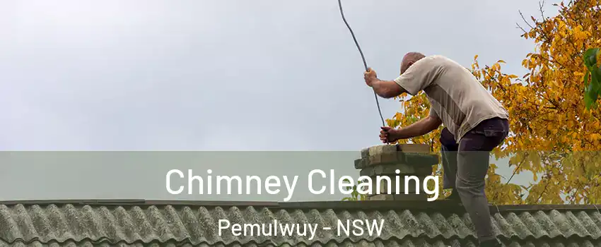 Chimney Cleaning Pemulwuy - NSW