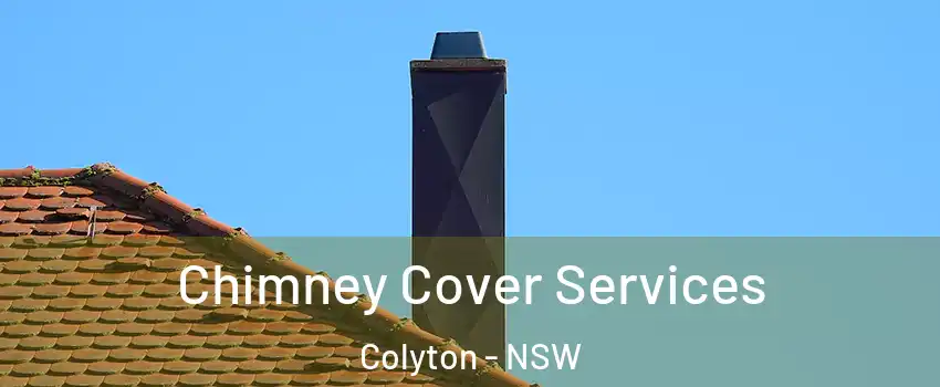  Chimney Cover Services Colyton - NSW