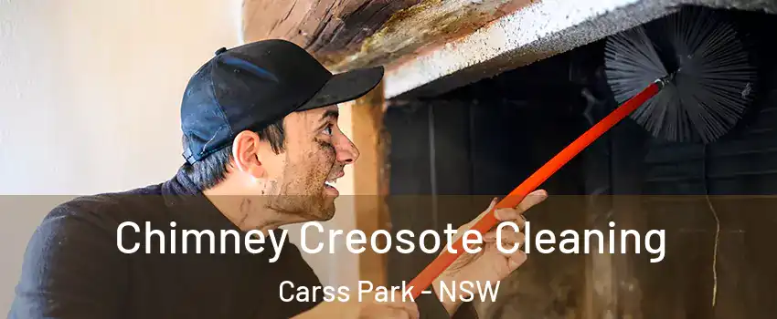  Chimney Creosote Cleaning Carss Park - NSW