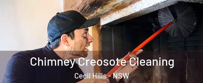 Chimney Creosote Cleaning Cecil Hills - NSW