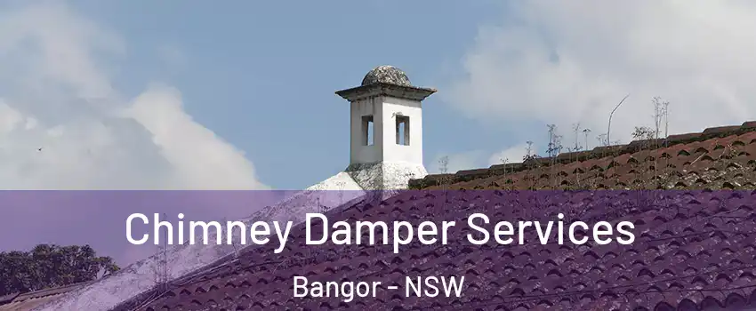 Chimney Damper Services Bangor - NSW
