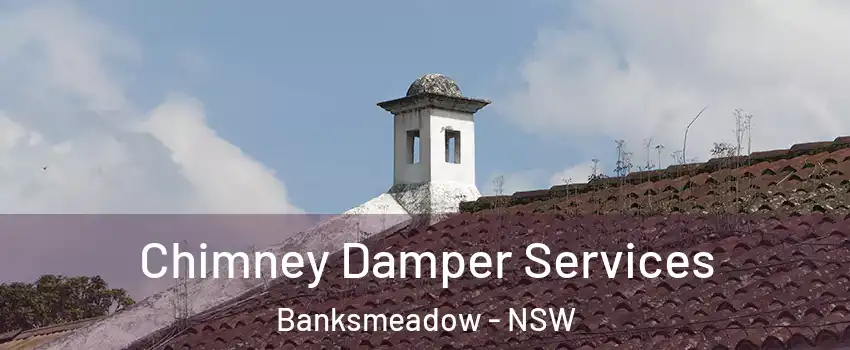 Chimney Damper Services Banksmeadow - NSW