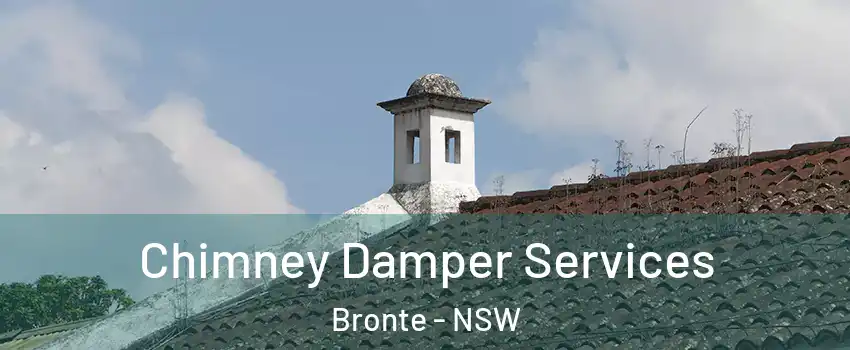 Chimney Damper Services Bronte - NSW