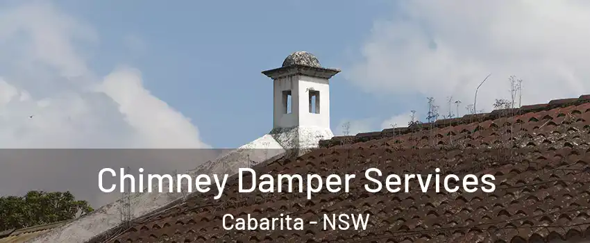 Chimney Damper Services Cabarita - NSW