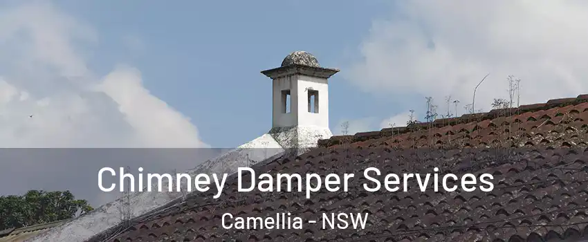 Chimney Damper Services Camellia - NSW