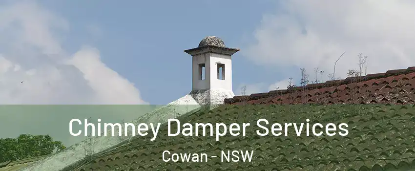 Chimney Damper Services Cowan - NSW