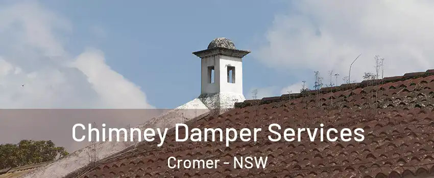 Chimney Damper Services Cromer - NSW
