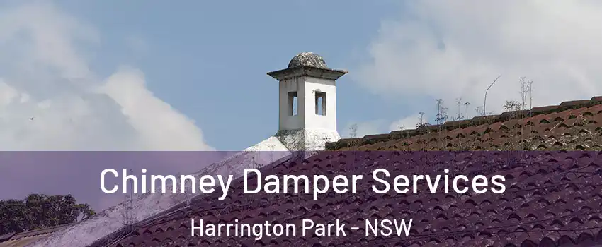 Chimney Damper Services Harrington Park - NSW