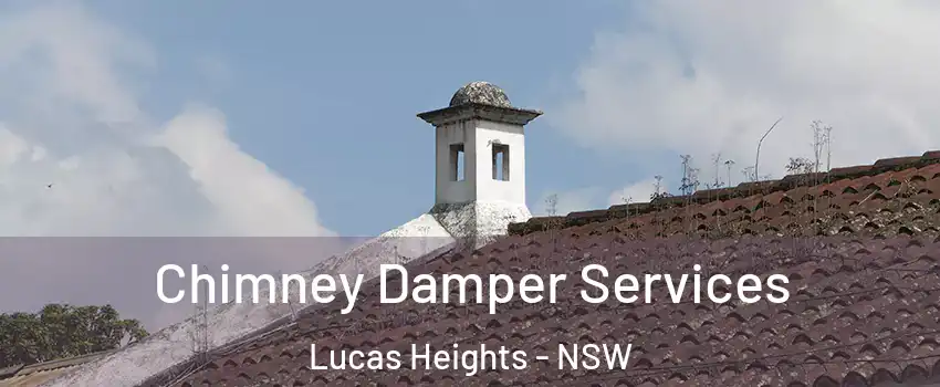 Chimney Damper Services Lucas Heights - NSW