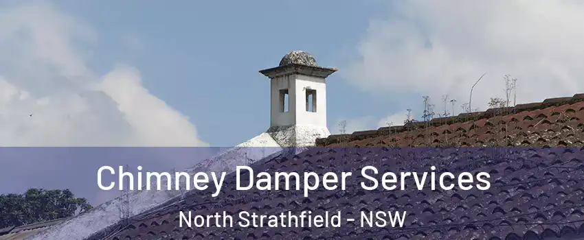 Chimney Damper Services North Strathfield - NSW